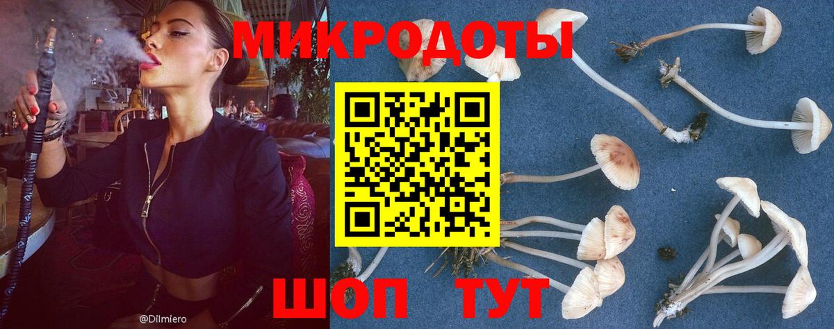 где купить наркоту  Псилоцибиновые грибы Psilocybe  Вход с VPN  Вольск 